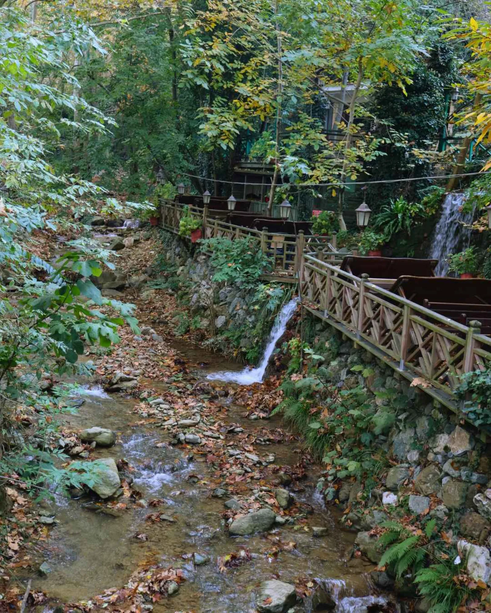 Köy sofrası
